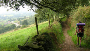 Person walking the Camino de Santiago along a path.