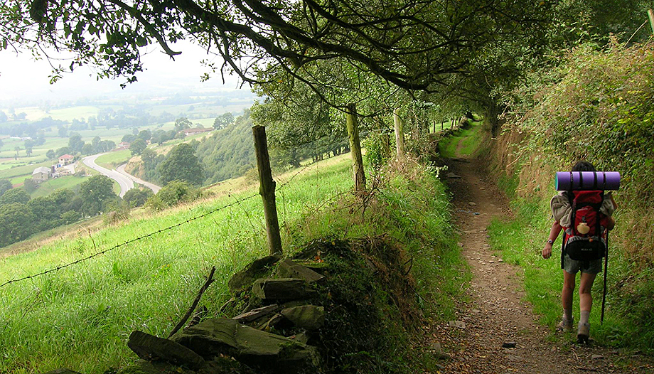 Person walking the Camino de Santiago along a path.