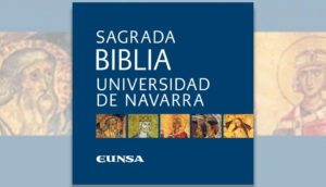 navarra bible