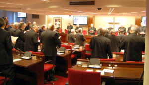 Plenary November 2020