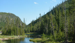 lake and countryside