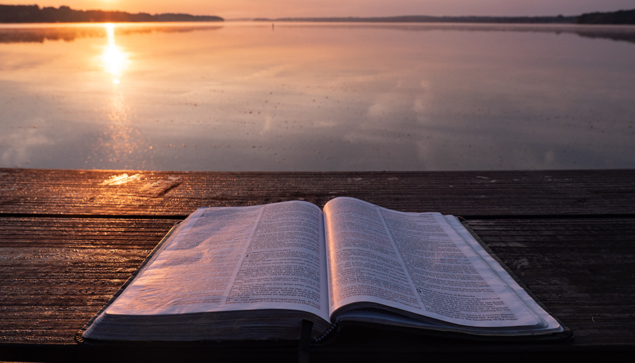 Die Bibel.