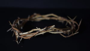 crown of thorns Notre Dame