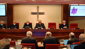 plenary assembly 119