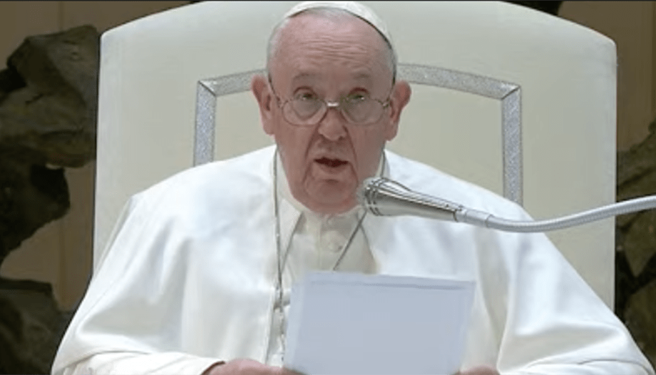 udienza del papa
