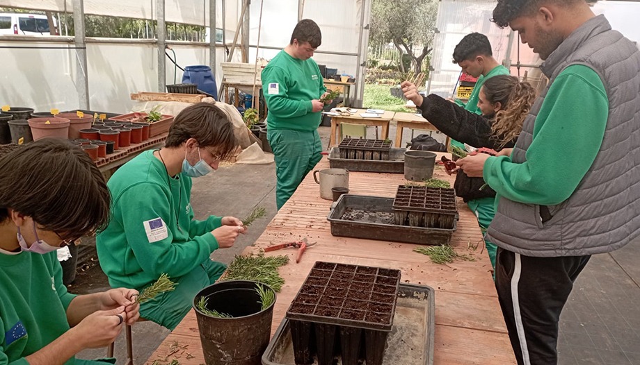 caritas employment