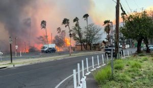 Incendi alle Hawaii